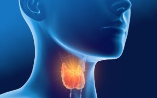 Hyperthyroidie
