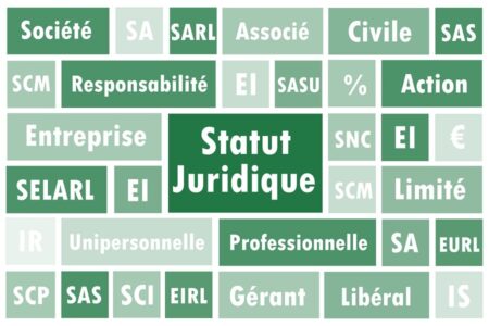 type de société IDEL