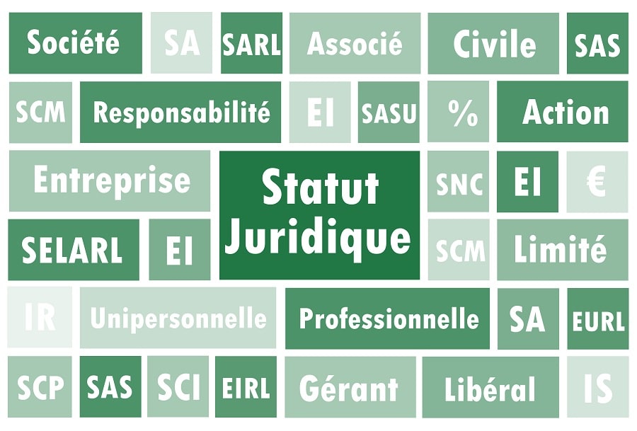 type de société IDEL