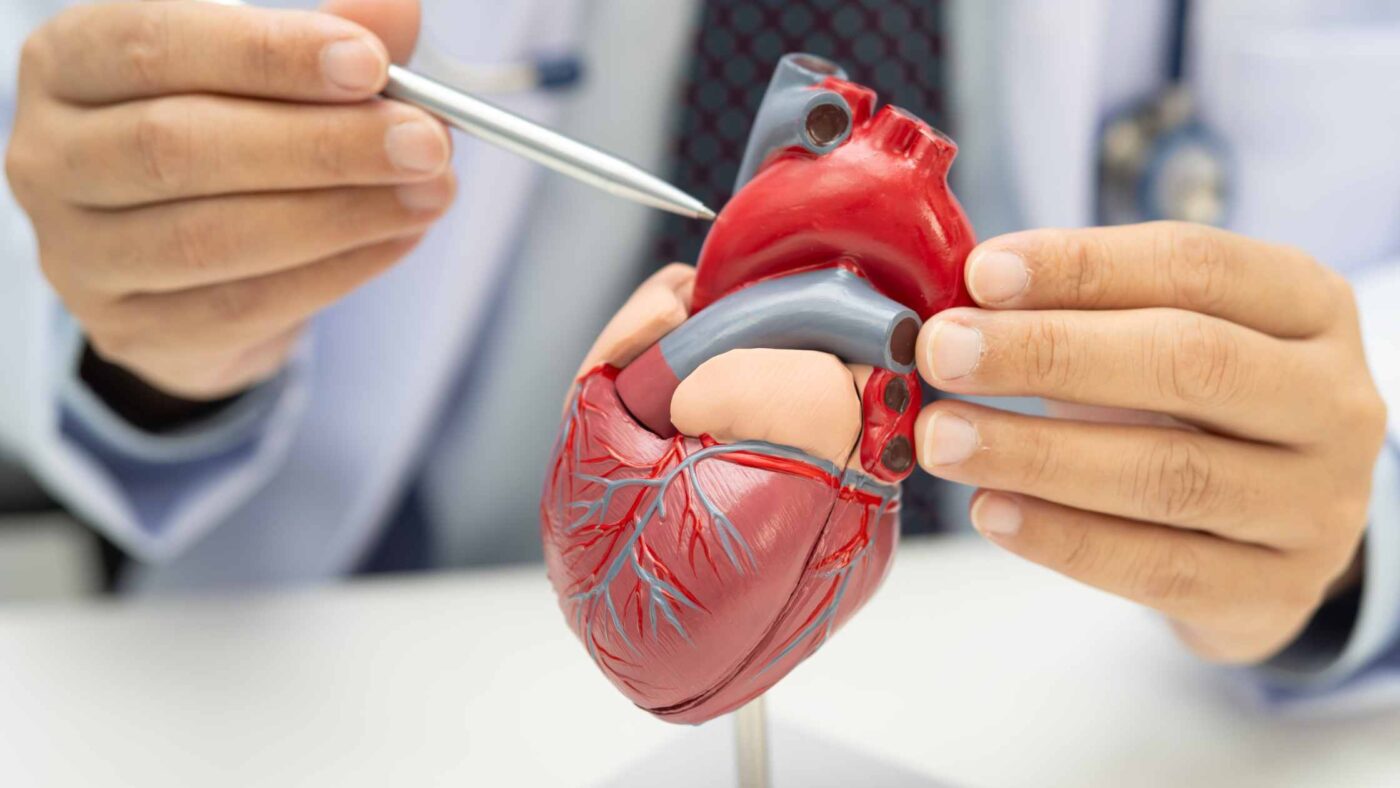 prévention cardiovasculaire